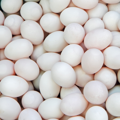 Yumurta - Saç için protein