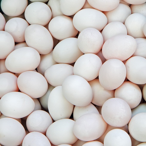 Plaukų slinkimui skirti kiaušiniai