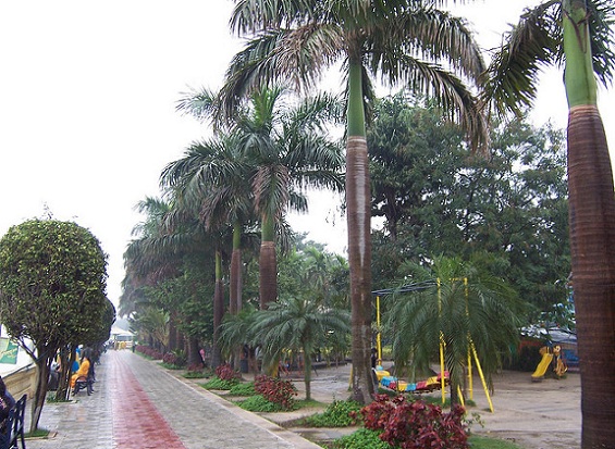 Millennium Park Kolkata garsus parkas
