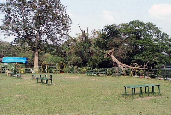 Botanikos sodo geriausi parkai Kolkata