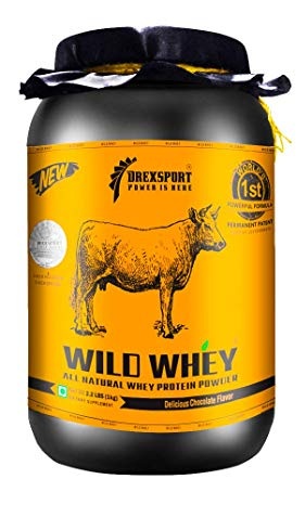 DREXSPORT- Yabani Peynir Altı Suyu Protein Tozu