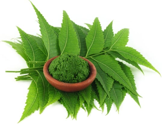 Neem Yüz Maskesi