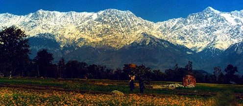 Kangra Vadisi