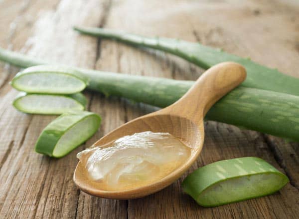 beyaz saçlar için aloe vera