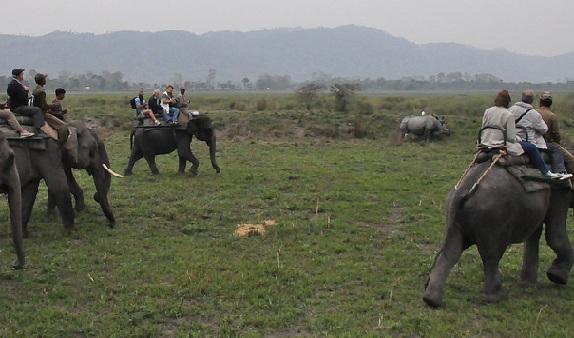 parks-in-assam-kaziranga-national-park