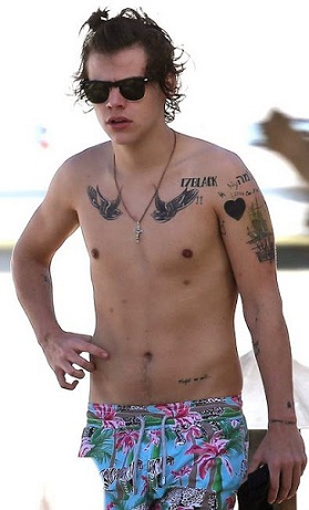 Harry Styles Makyajsız 10