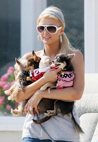 Paris Hilton makyajsız7