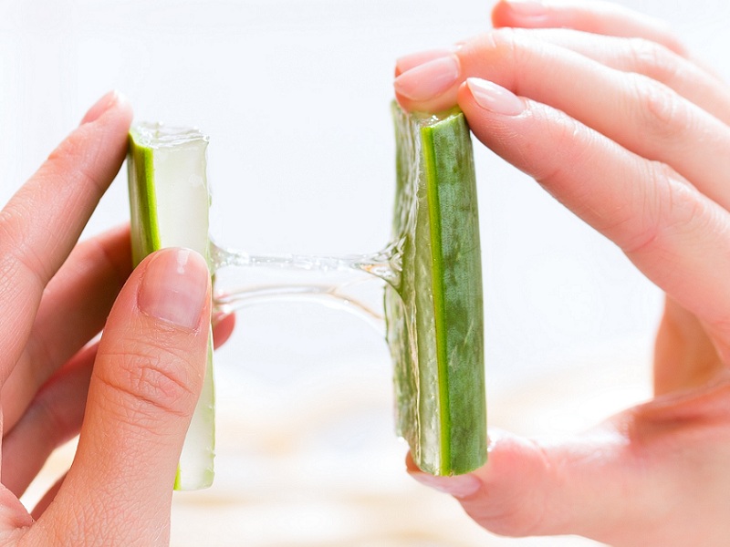 Cilt İçin Aloe Vera