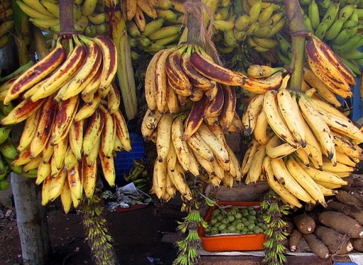 įvairių rūšių bananų