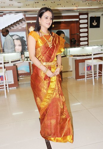 tamilų aktorė saree4