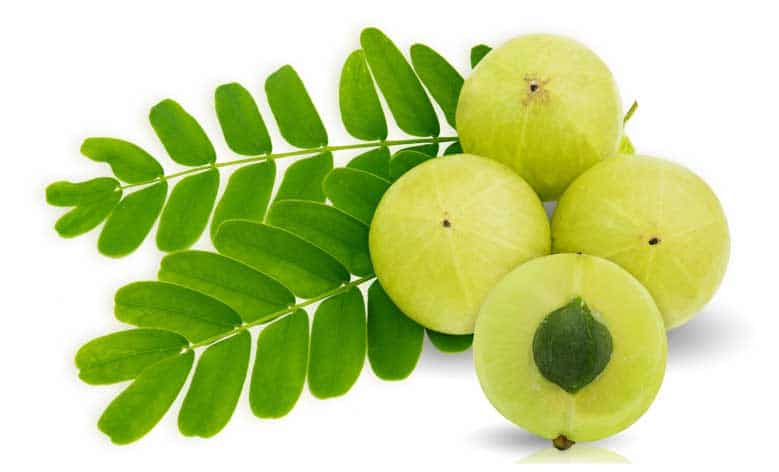 Amla padidinti ūgį
