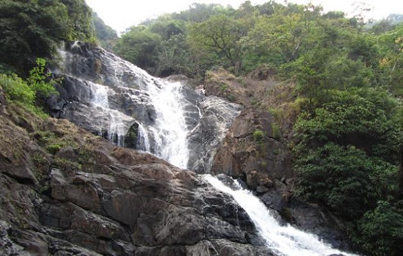 kriokliai Goa