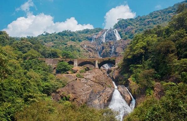 kriokliai Goa