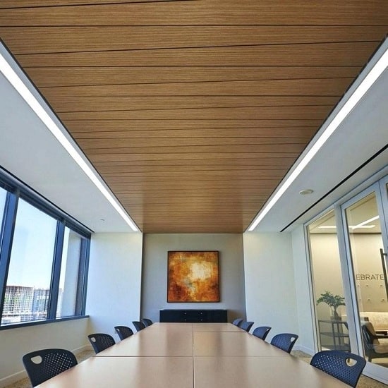 PVC lubų dizainas biurui