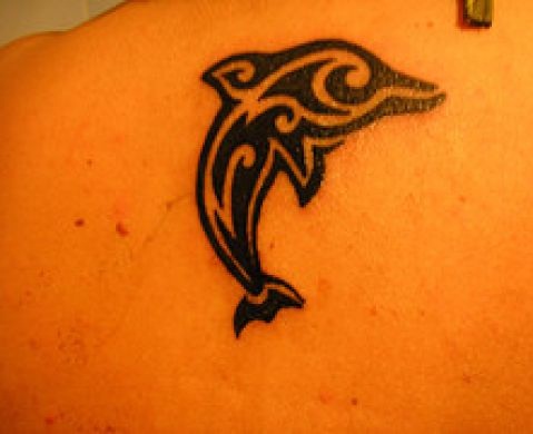 „DolphinTribal“ tatuiruotė jaunoms merginoms