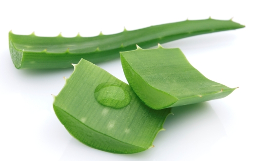 Saç İnceltme İçin Aloe Vera