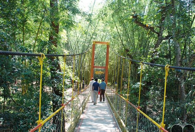 cauvery-nisargadhama_coorg-turist-yerler