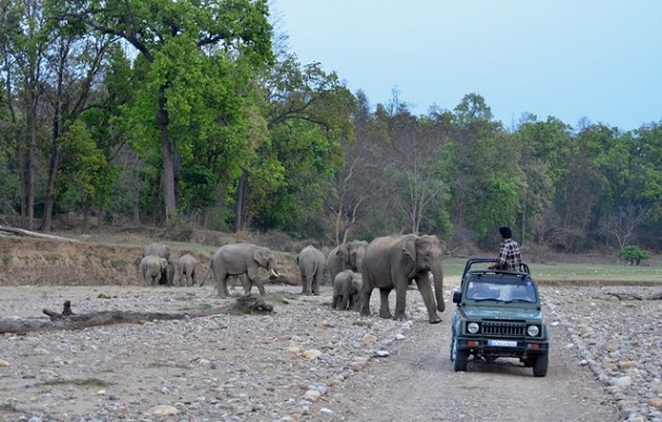 rajaji-ulusal-park_haridwar-turist-yerler