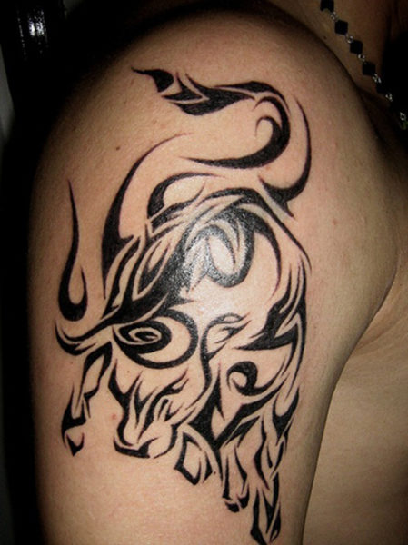 „Celtic Bull“ tatuiruočių dizainas vaikinams