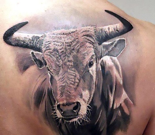 3D bulių tatuiruočių dizainas