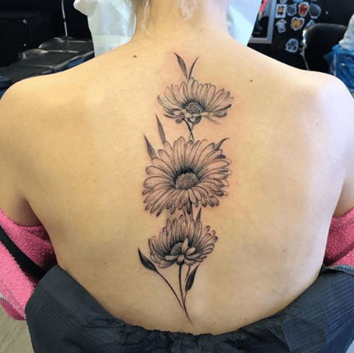 Daisy tatuiruotės dizainas ant nugaros