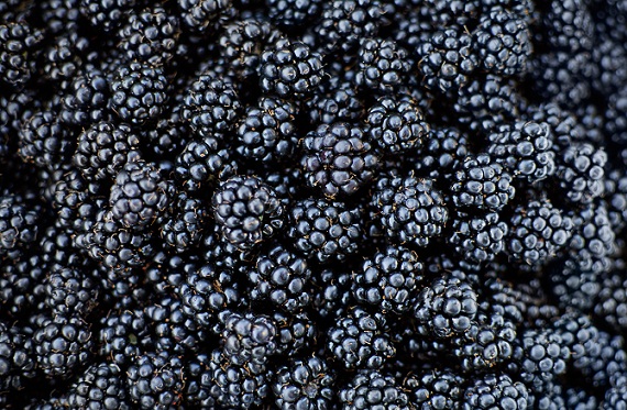 Diyabet Hastaları İçin En İyi Meyveler Tip 2 Black berry