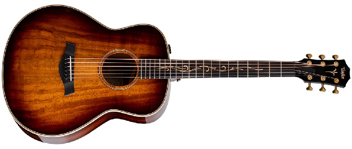 Taylor Gitarları