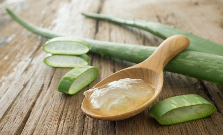 Aloe Vera Saçınızı Uzatabilir