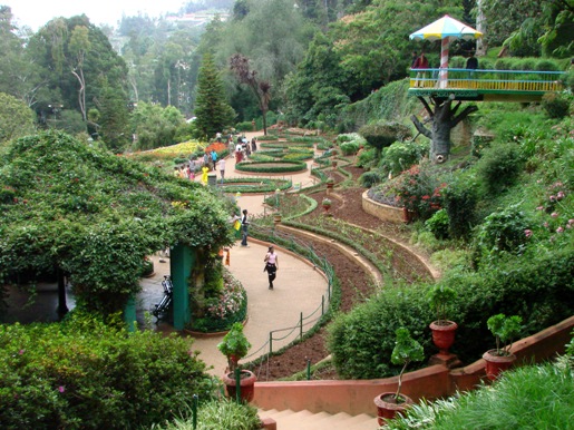 Botanik bahçeler