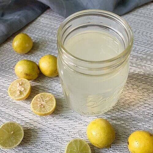limon suyu hamilelik