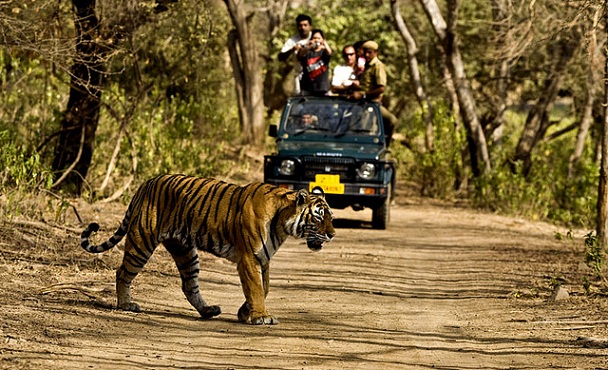 jim-corbett-ulusal-park_uttarakhand-turist-yerler