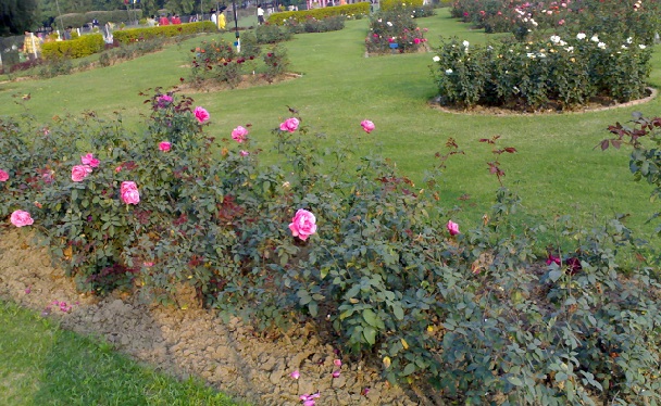 garsios gėlių sodo_chandigarh-turistinės vietos