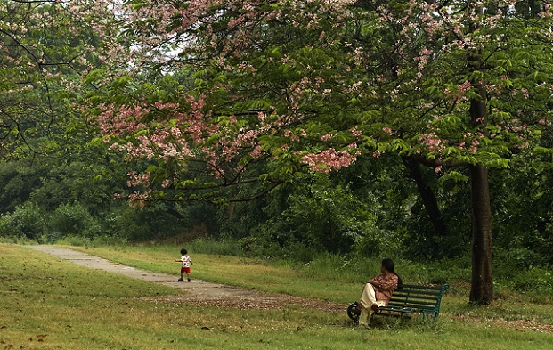 laisvalaikio slėnis_chandigarh-turistinės vietos