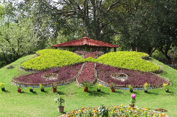 butterfly-park_chandigarh-tourist-places