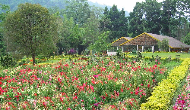 saramsa-garden_sikkim-turist-yerler