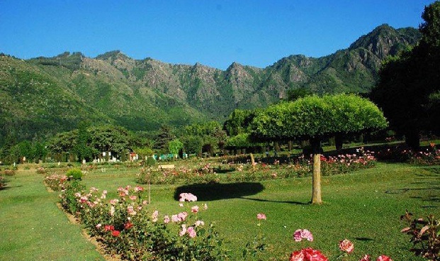 nehru-botanical-garden_sikkim-tourist-places