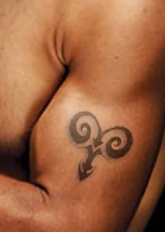 Avino tatuiruotė vyrams ant bicepso