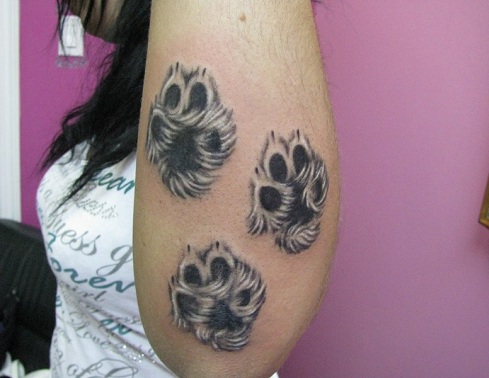 Husky Paw Print Dövme Tasarımları