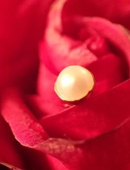 Mažas perlų dizaino auksinis nosies smeigtukas moterims