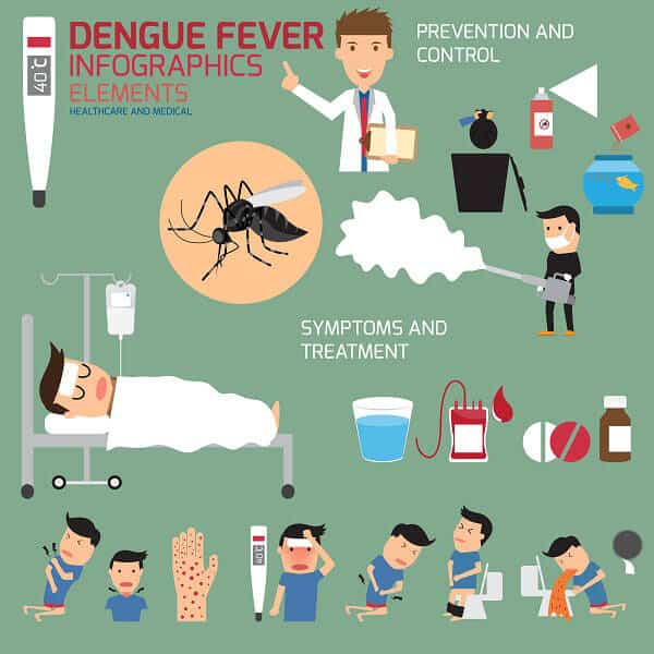 Dengės karštligės infografika