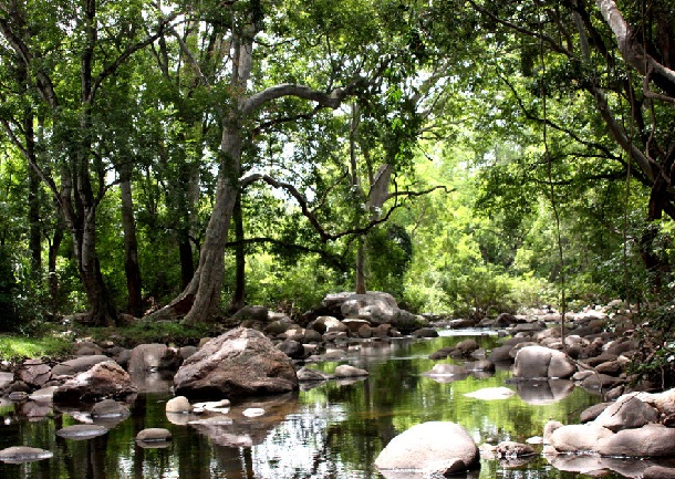 chinnar-wildlife-sanctuary_munnar-tourist-places