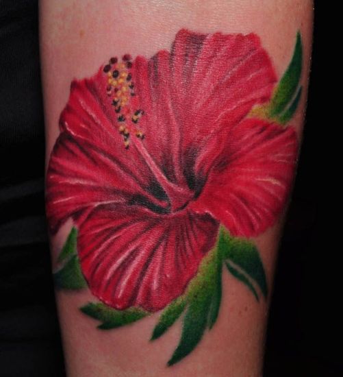 Rožinė Hibiscus atspalvio tatuiruotė
