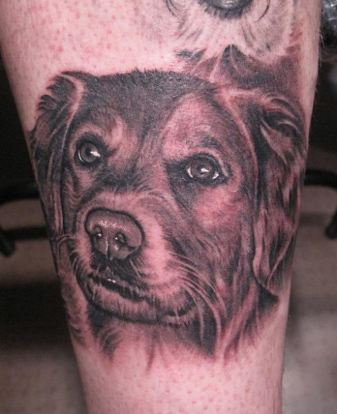 Naminių šunų apatinės kojos tatuiruotės menas