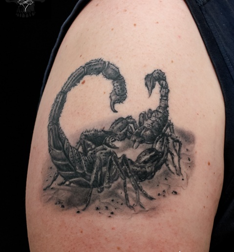 Kovojančios skorpiono tatuiruotės ant rankovių