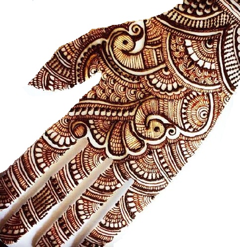 Tavuskuşu Motif Tasarımcısı Mehndi