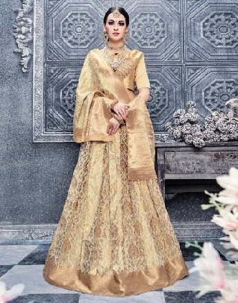 Banarasi İpek Lehenga Choli Elbise