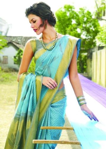 Naujausias dizaineris Nalli Saree