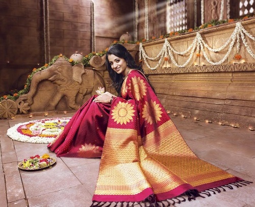 Karališkasis Nalli Saree