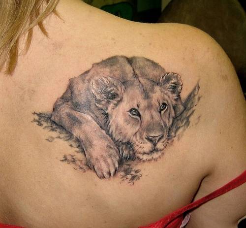 Liūtės peties tatuiruotė mergaitėms