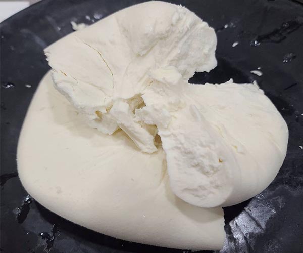 Ricotta